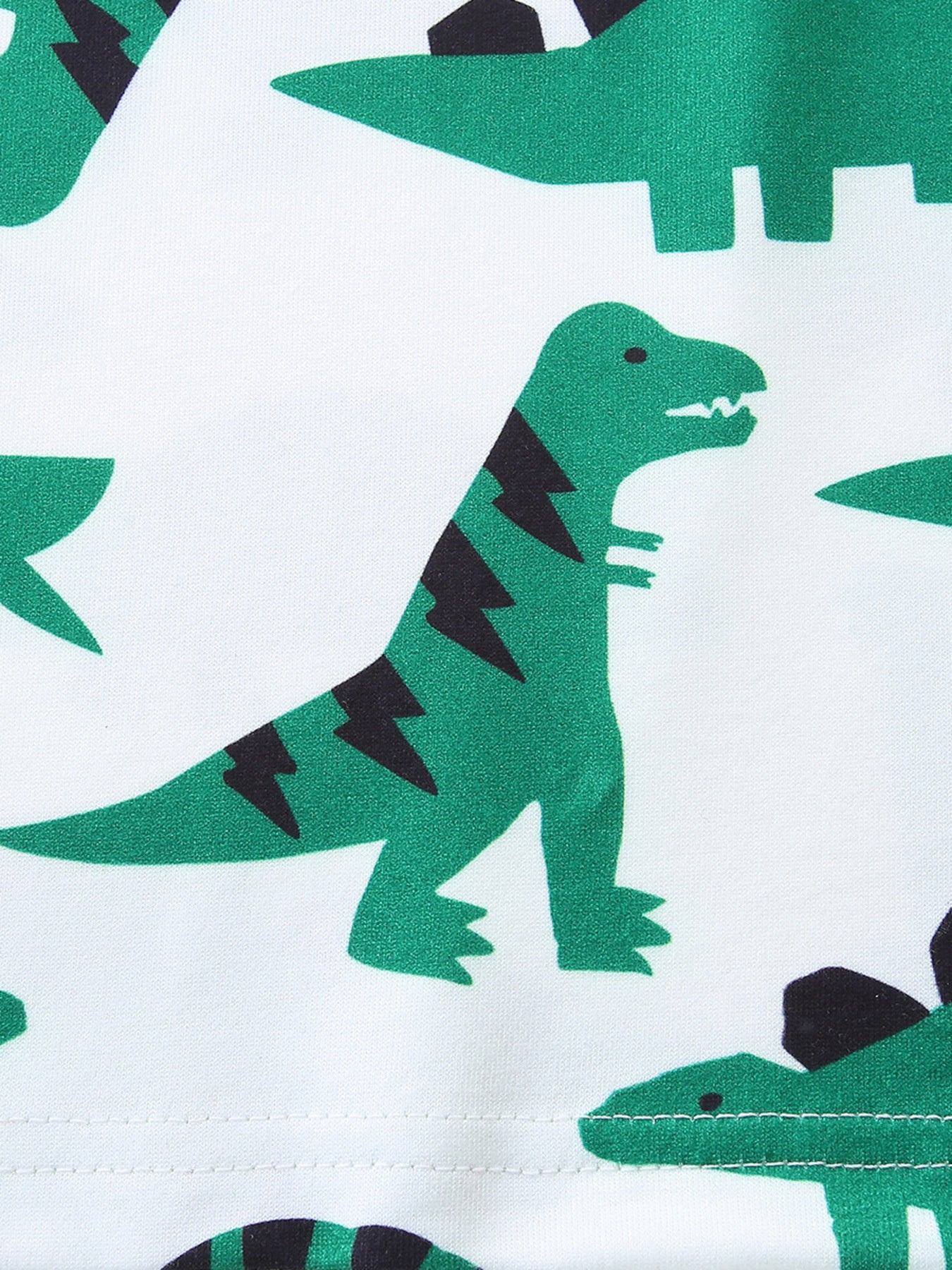 Dinosaur Print Casual Tee and Shorts Set in Green for Boys