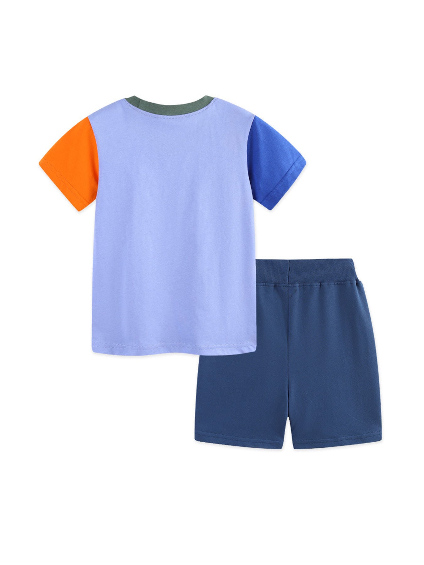 Animal Graphic Color Block Tee and Shorts Set in Multicolor for Boys