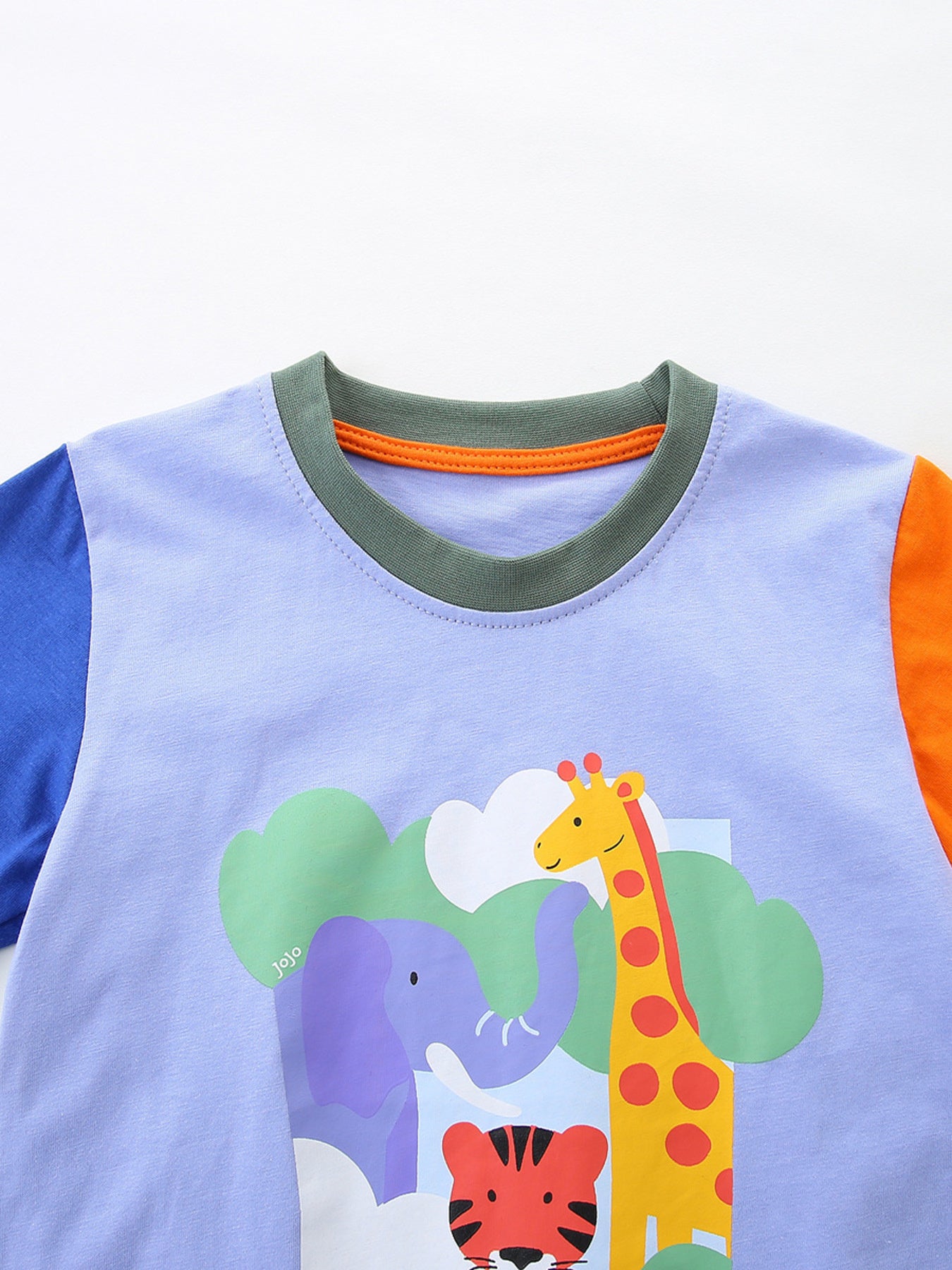 Animal Graphic Color Block Tee and Shorts Set in Multicolor for Boys