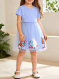 Horse Embroidered Tulle Dress in Dusty Blue for Girls