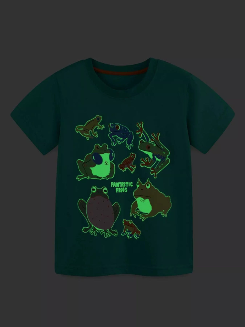 Frog Print Short Sleeve Tee and Shorts Set in Turquoise for Boys