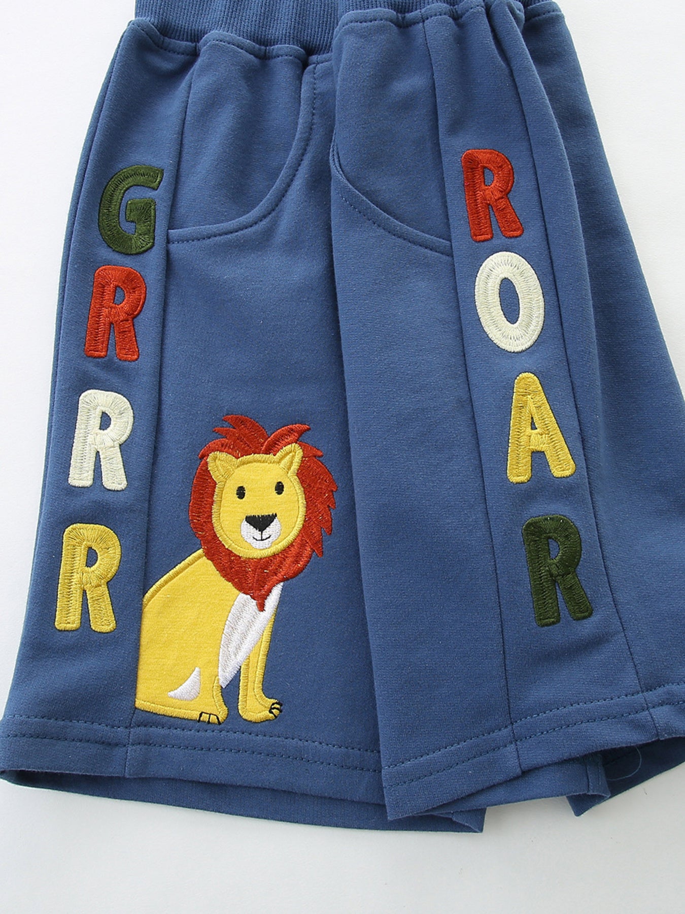 Animal Graphic Color Block Tee and Shorts Set in Multicolor for Boys