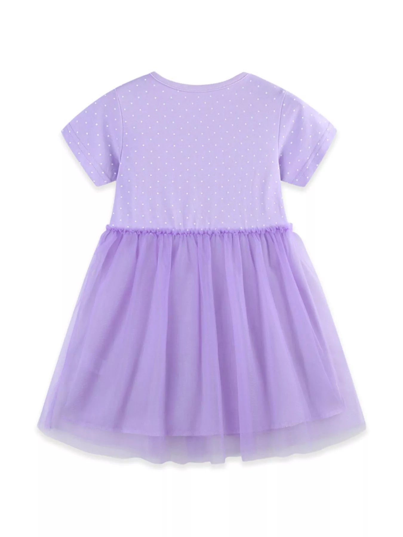 Ballet Dancer Embroidered Tulle Dress in Lavender for Girls