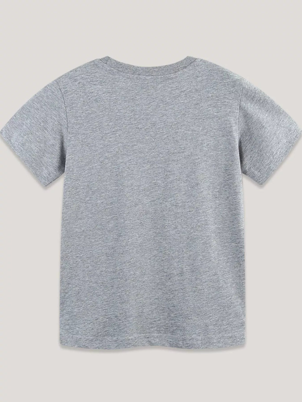 Dinosaurs Graphic Short Sleeve T-Shirt in Gray for Boys