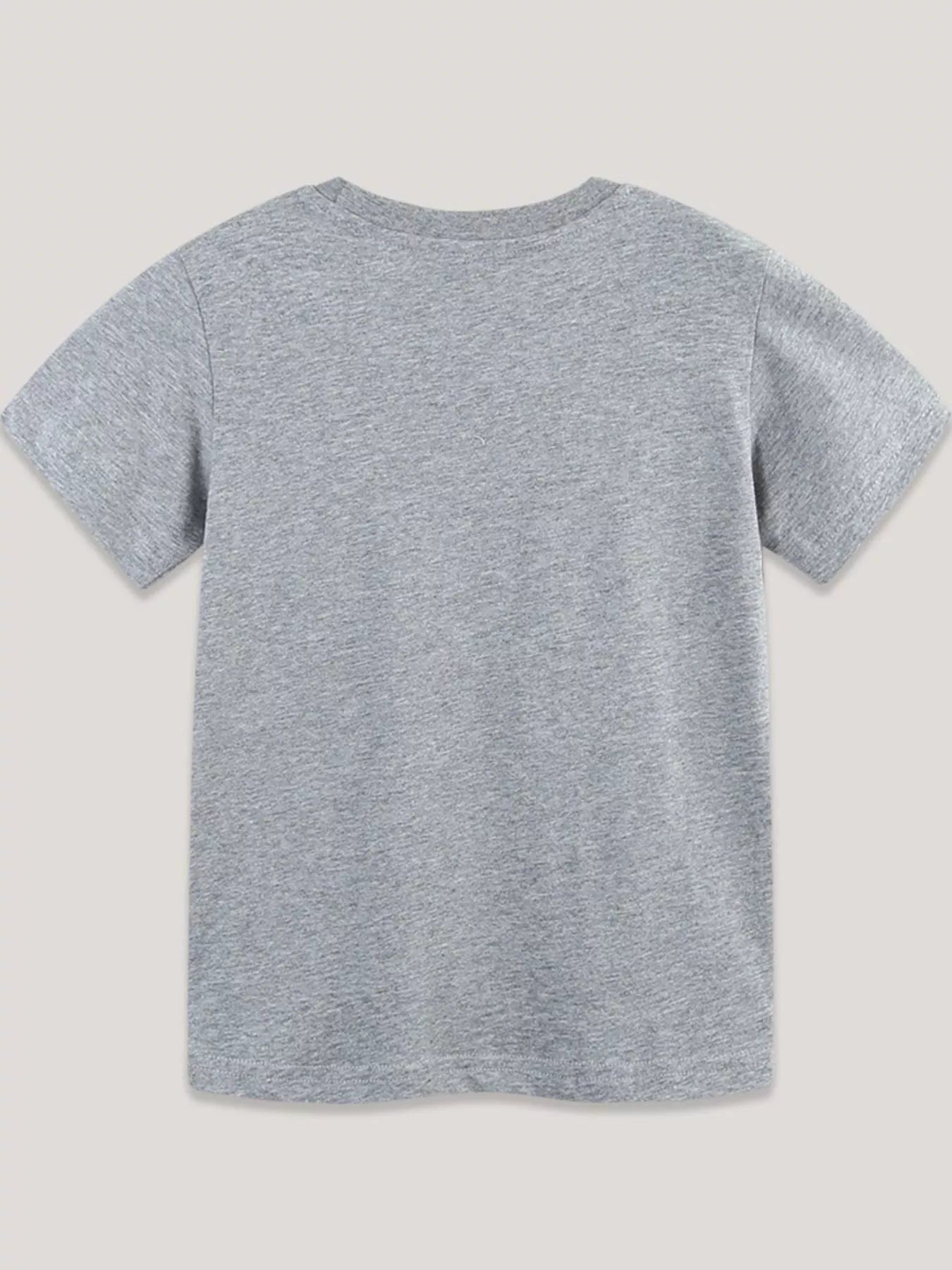 Dinosaurs Graphic Short Sleeve T-Shirt in Gray for Boys