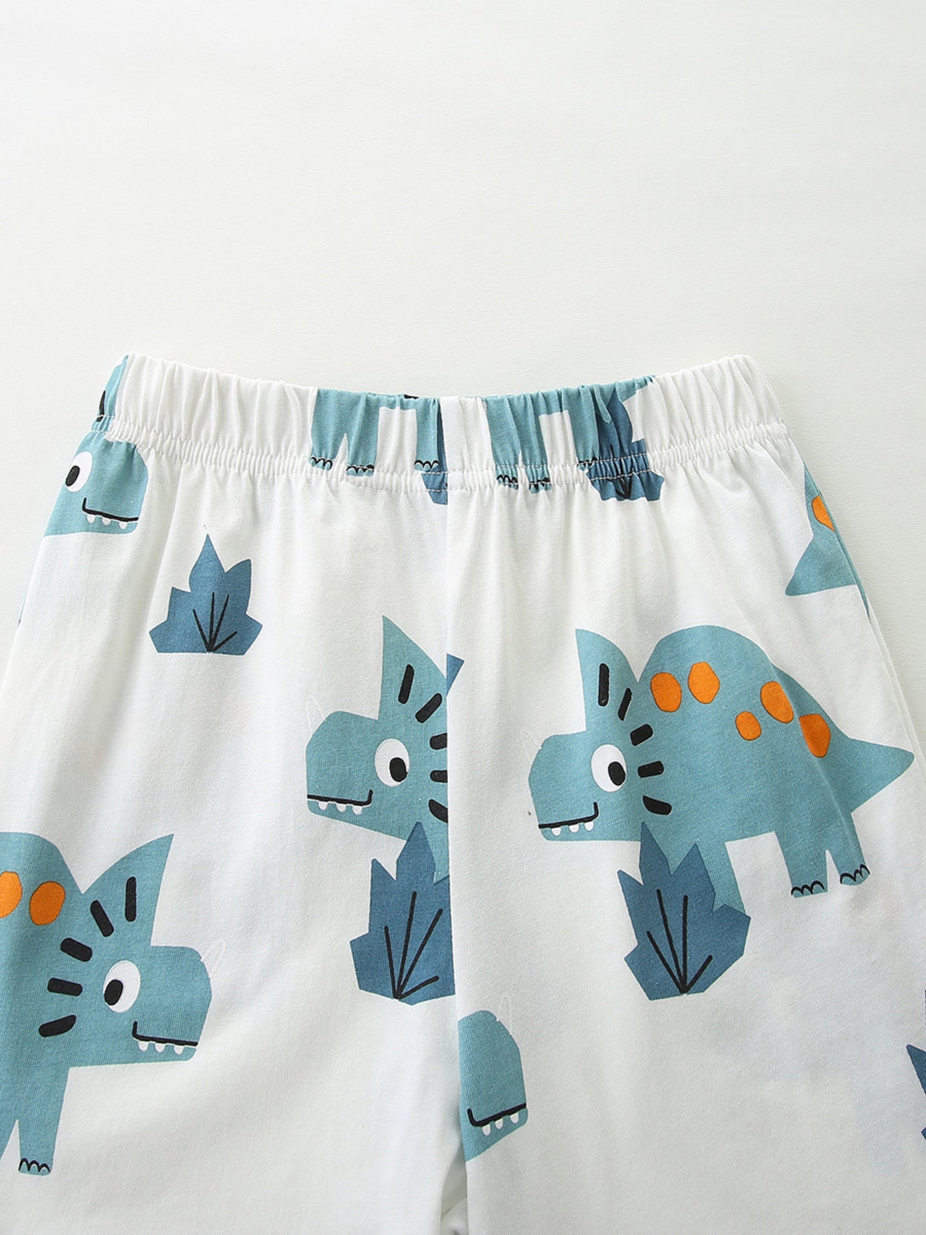 Dinosaur Applique Two-Piece Set in White for Boys