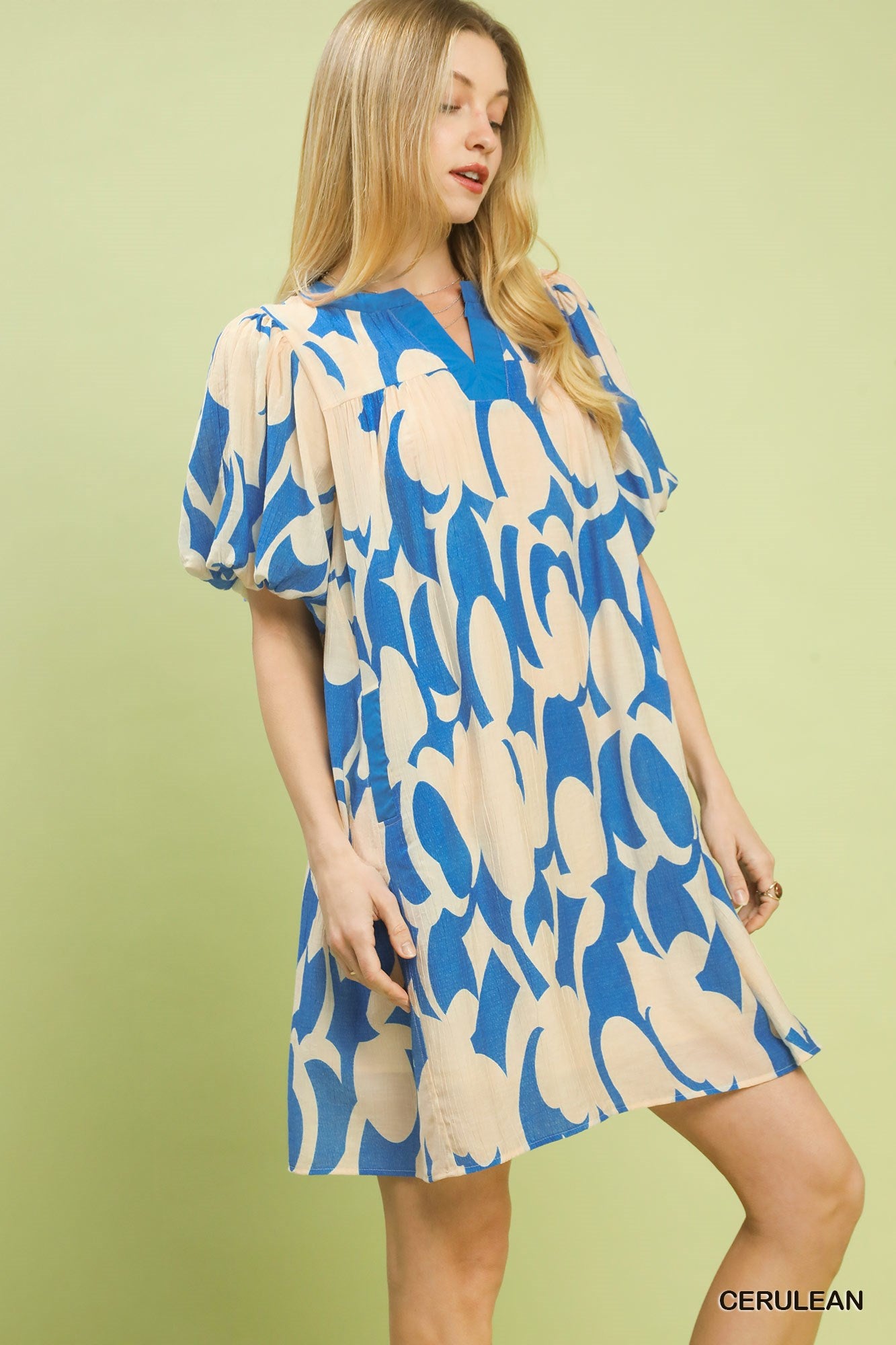 Abstract Print Puff Sleeve Shift Dress in Cerulean for Women