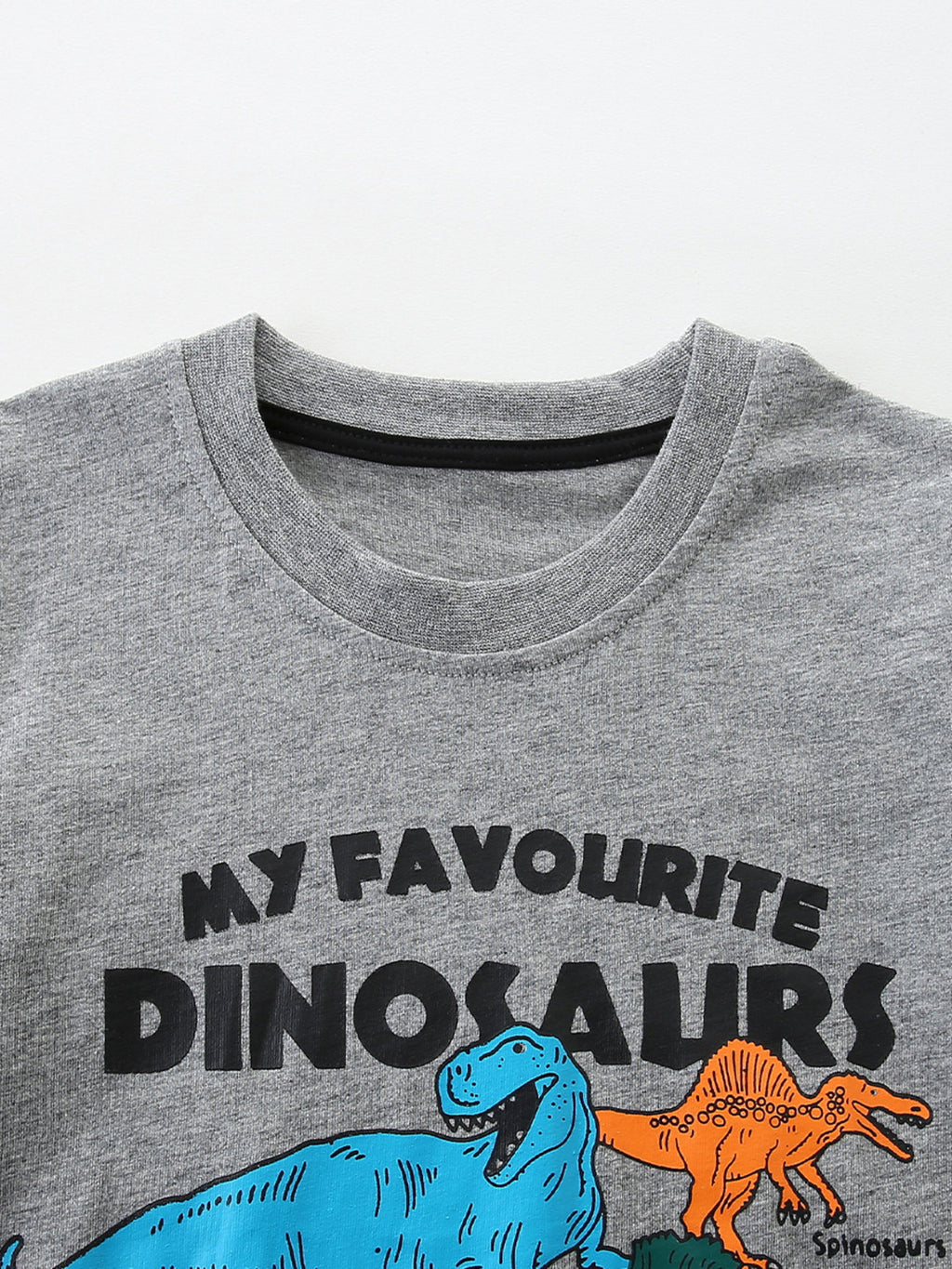 Dinosaurs Graphic Short Sleeve T-Shirt in Gray for Boys