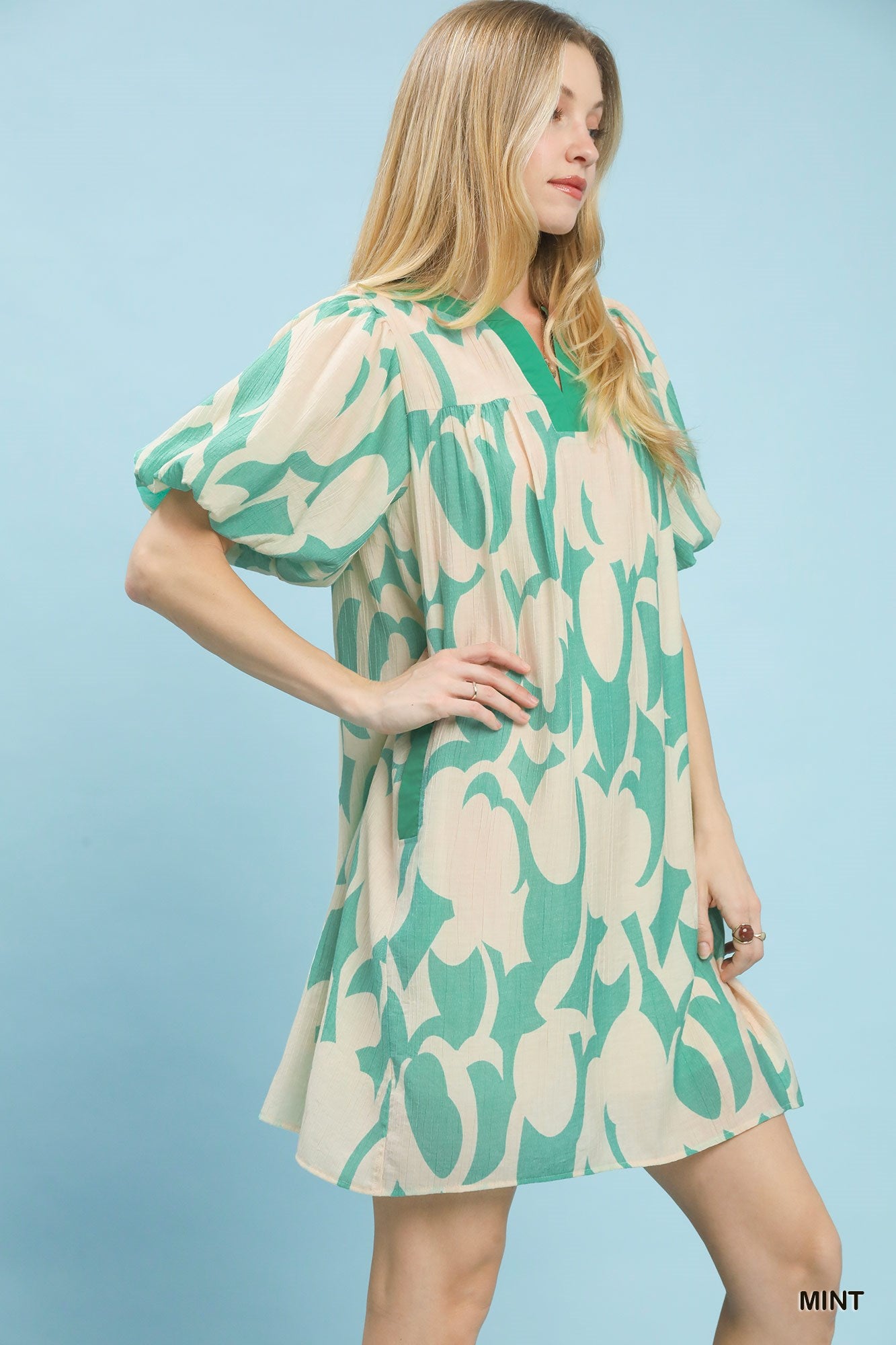 Abstract Print Puff Sleeve Shift Dress in Mint for Women
