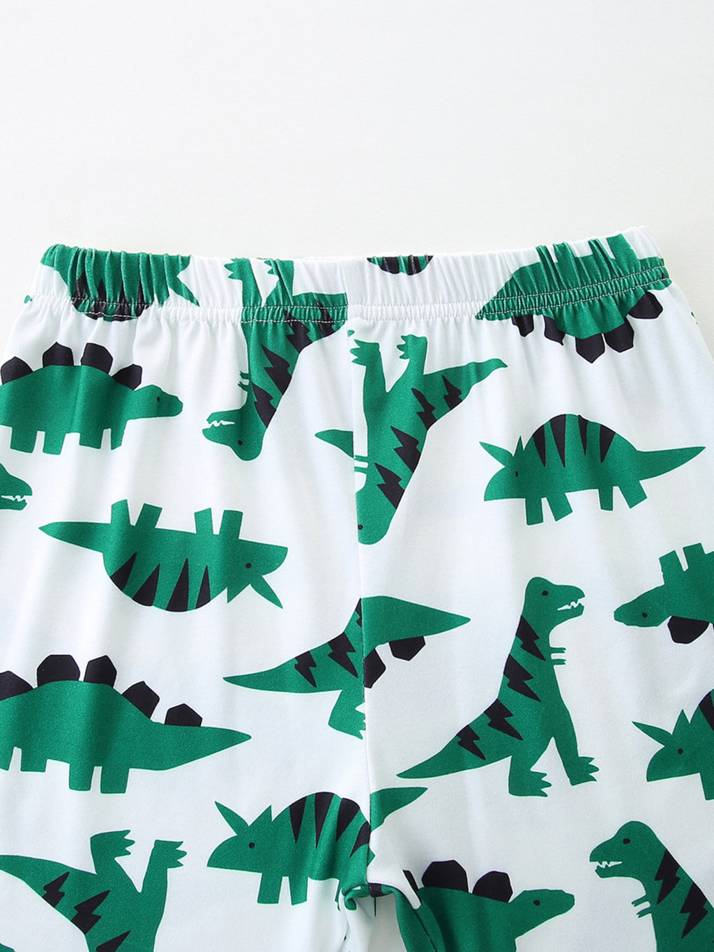 Dinosaur Print Casual Tee and Shorts Set in Green for Boys