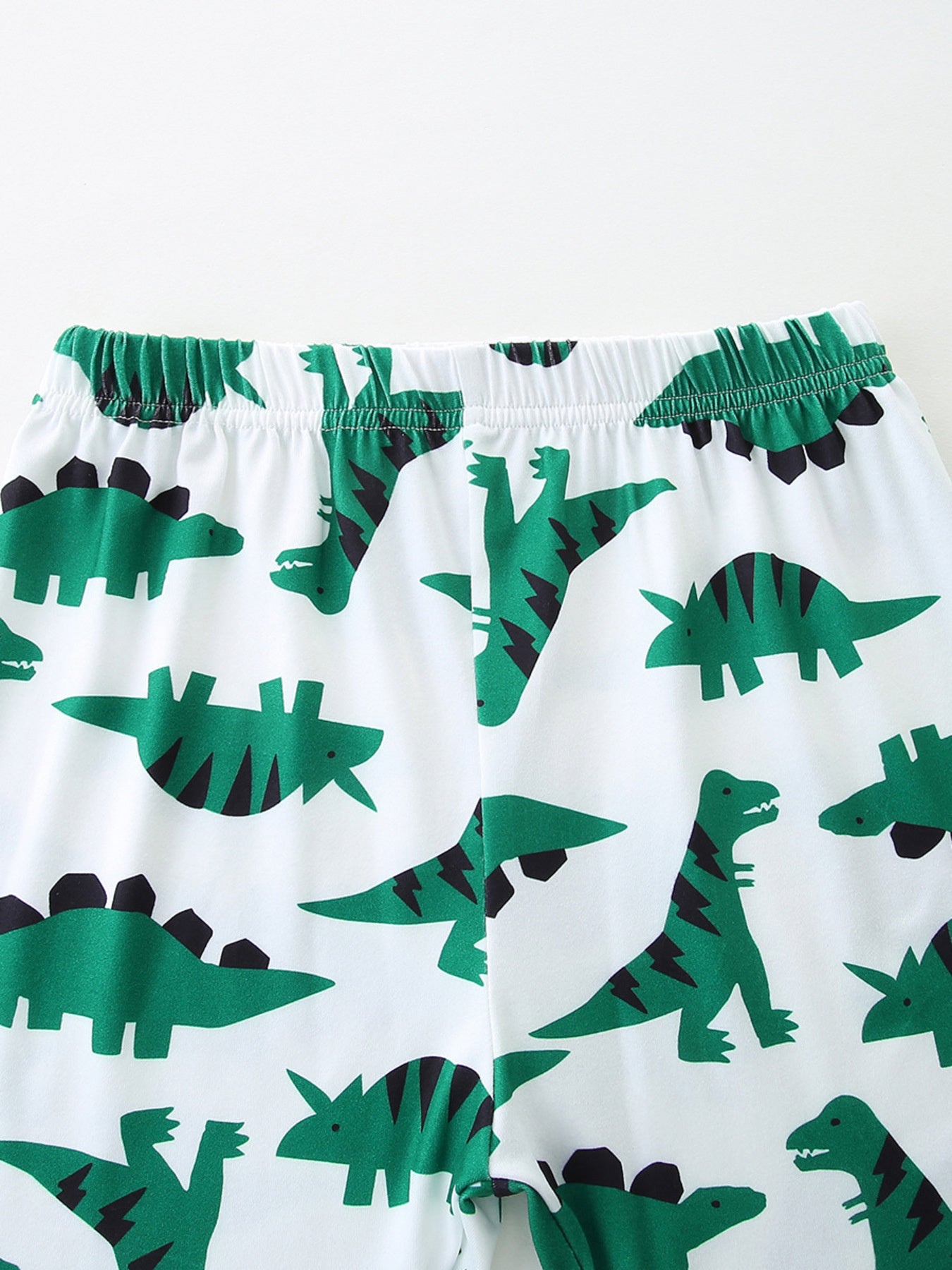 Dinosaur Print Casual Tee and Shorts Set in Green for Boys