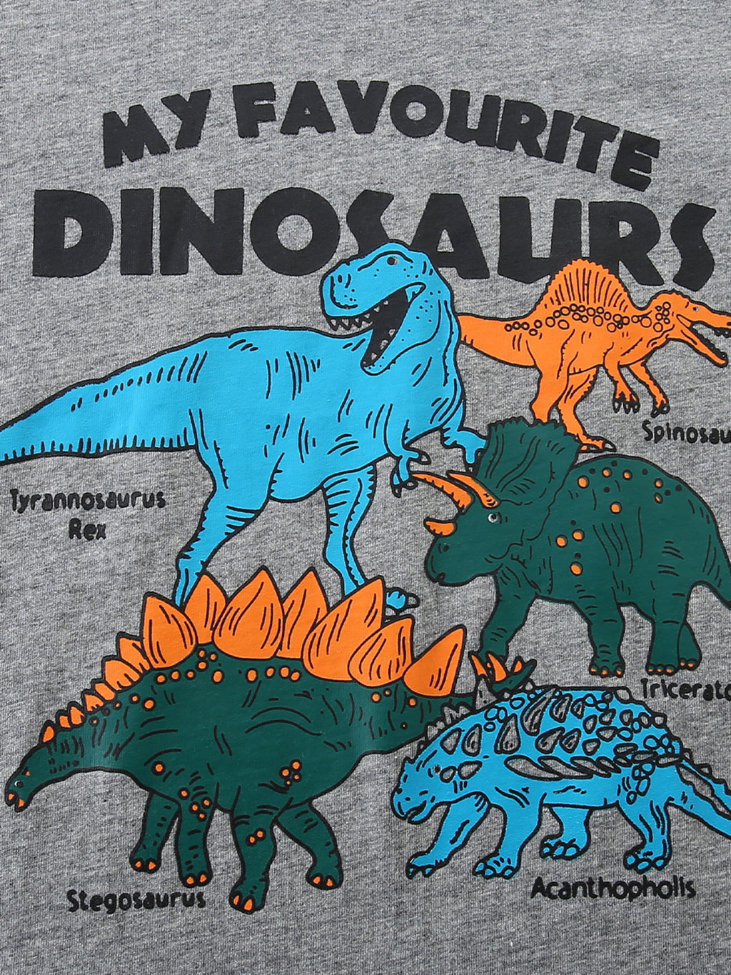 Dinosaurs Graphic Short Sleeve T-Shirt in Gray for Boys
