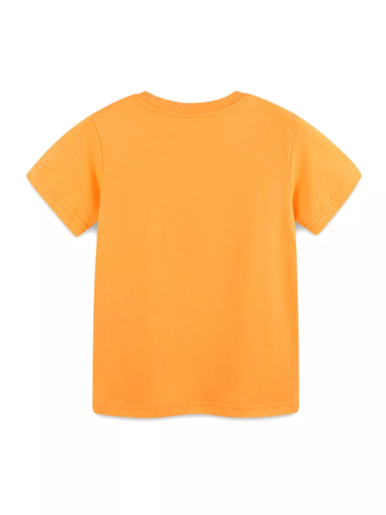 Toucan Graphic Round Neck Tee in Sherbet for Boys